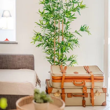 Apartment Camerelle 33