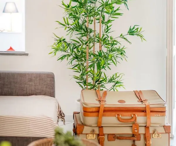 Apartamento Camerelle 33